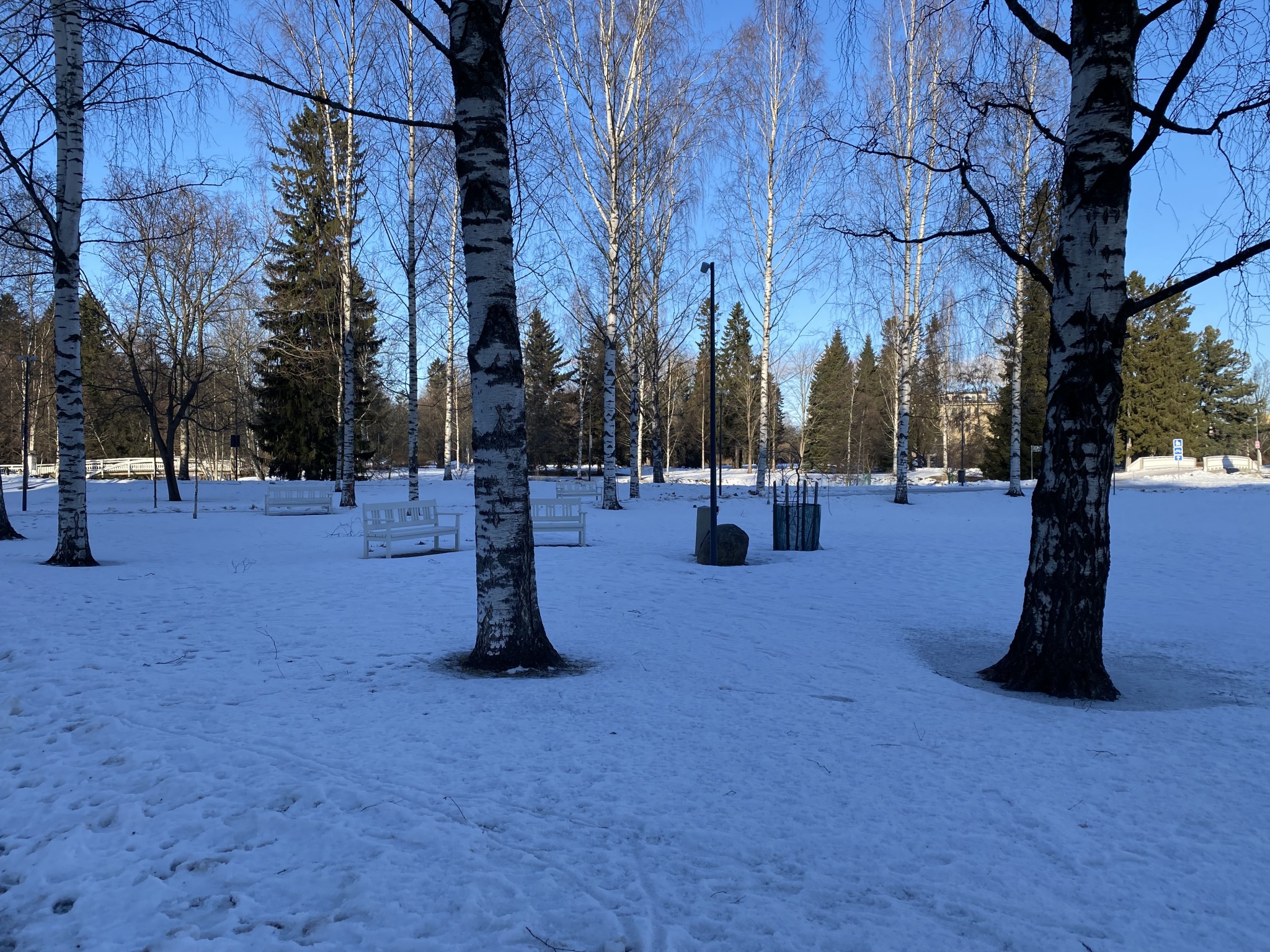 Ein schneebedeckter Park mit Bäumen und Bänken