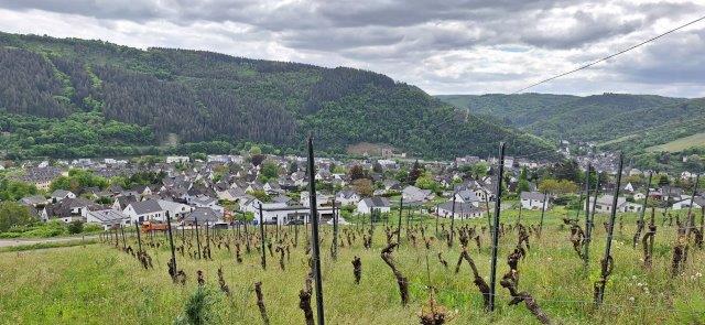Eine Aussicht auf Traben-Trarbach von den Weinbergen aus