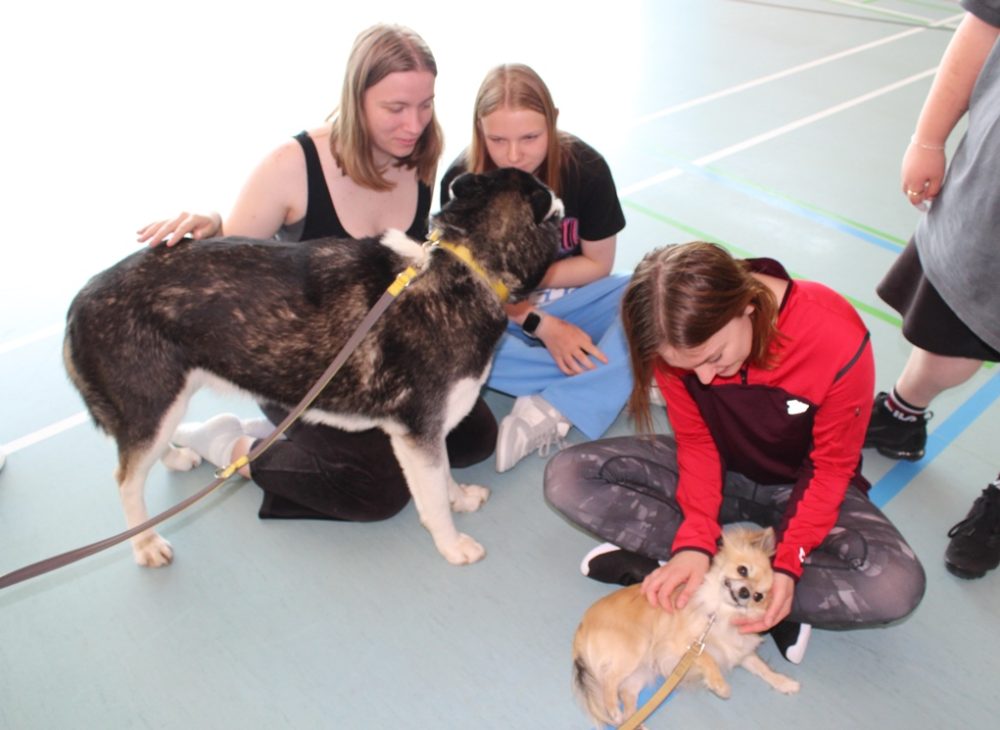 Drei Teilnehmende streicheln die beiden Hunde