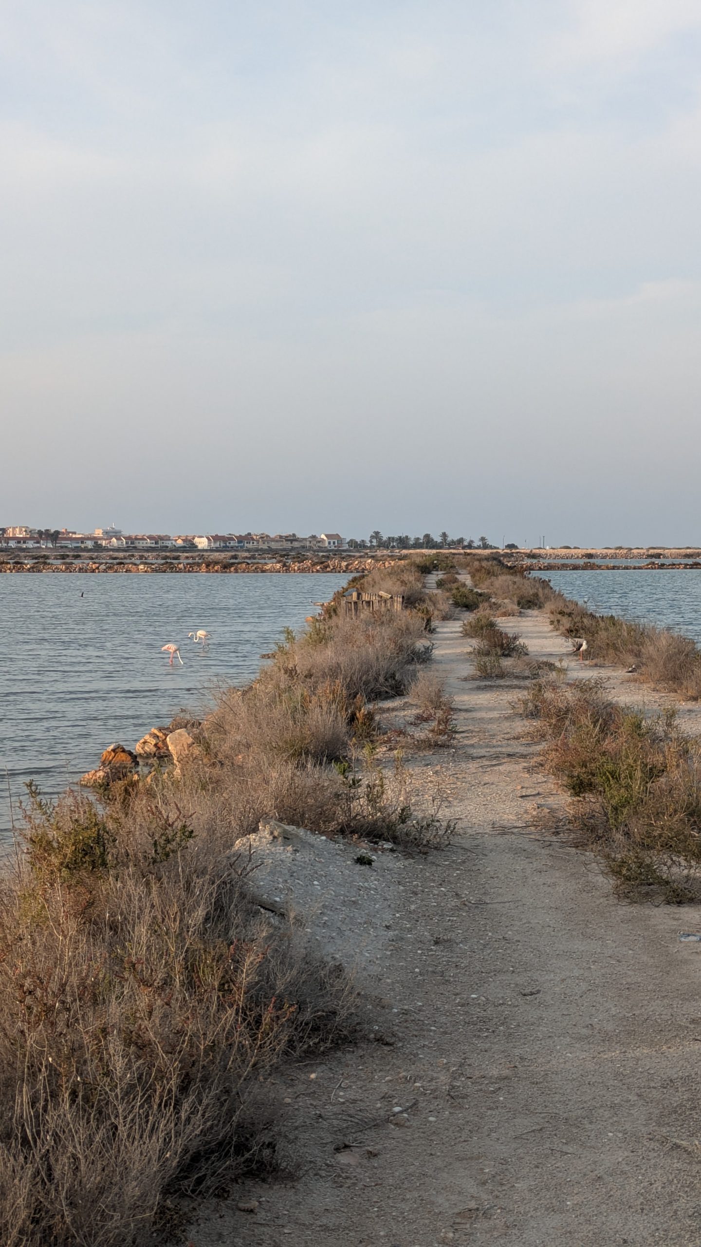 Salinas mit Flamingos