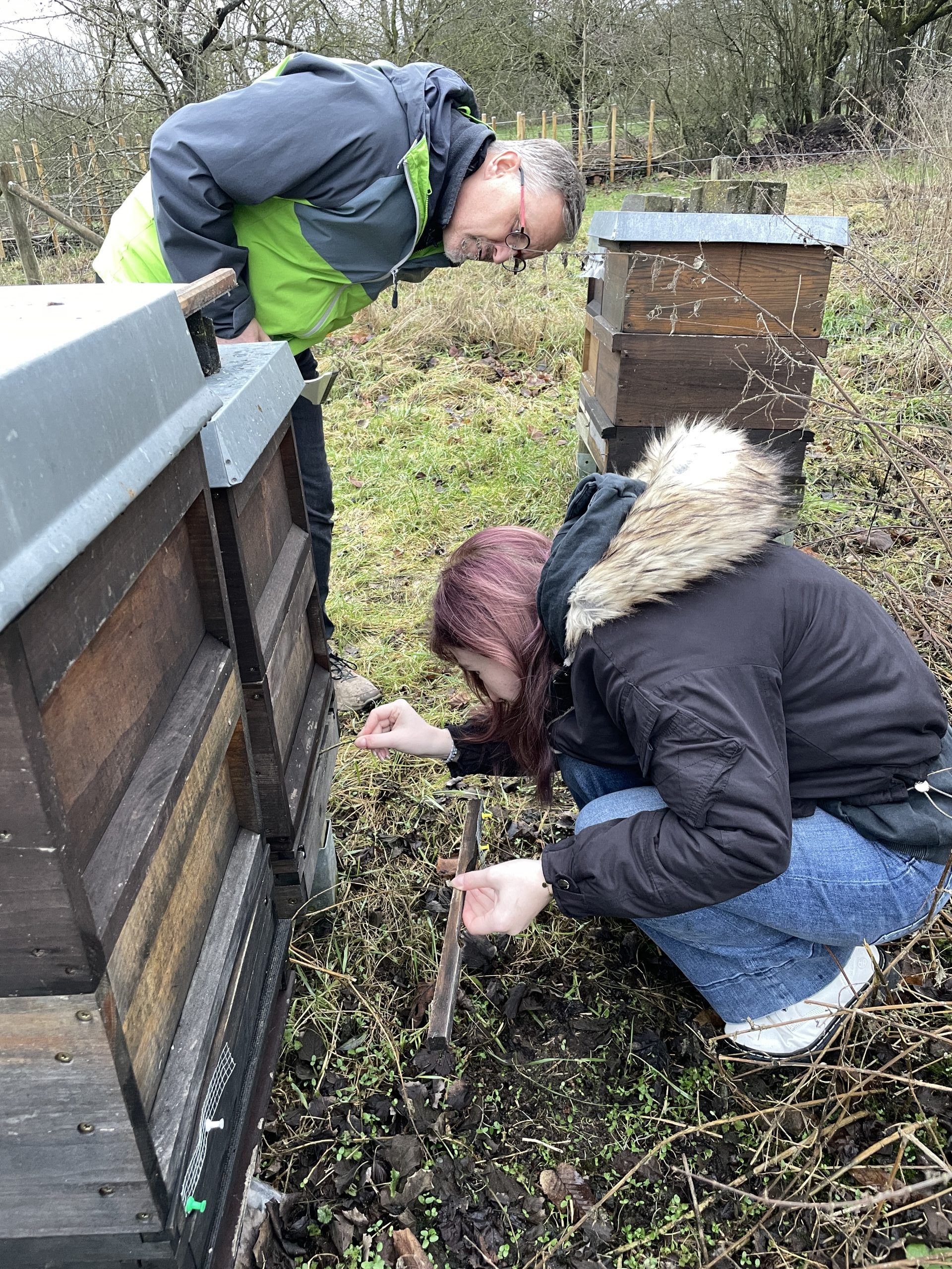 Eine Teilnehmerin prüft einen Bienenkasten auf Aktivität; Fachlehrer Bernd Holzkamp schaut zu