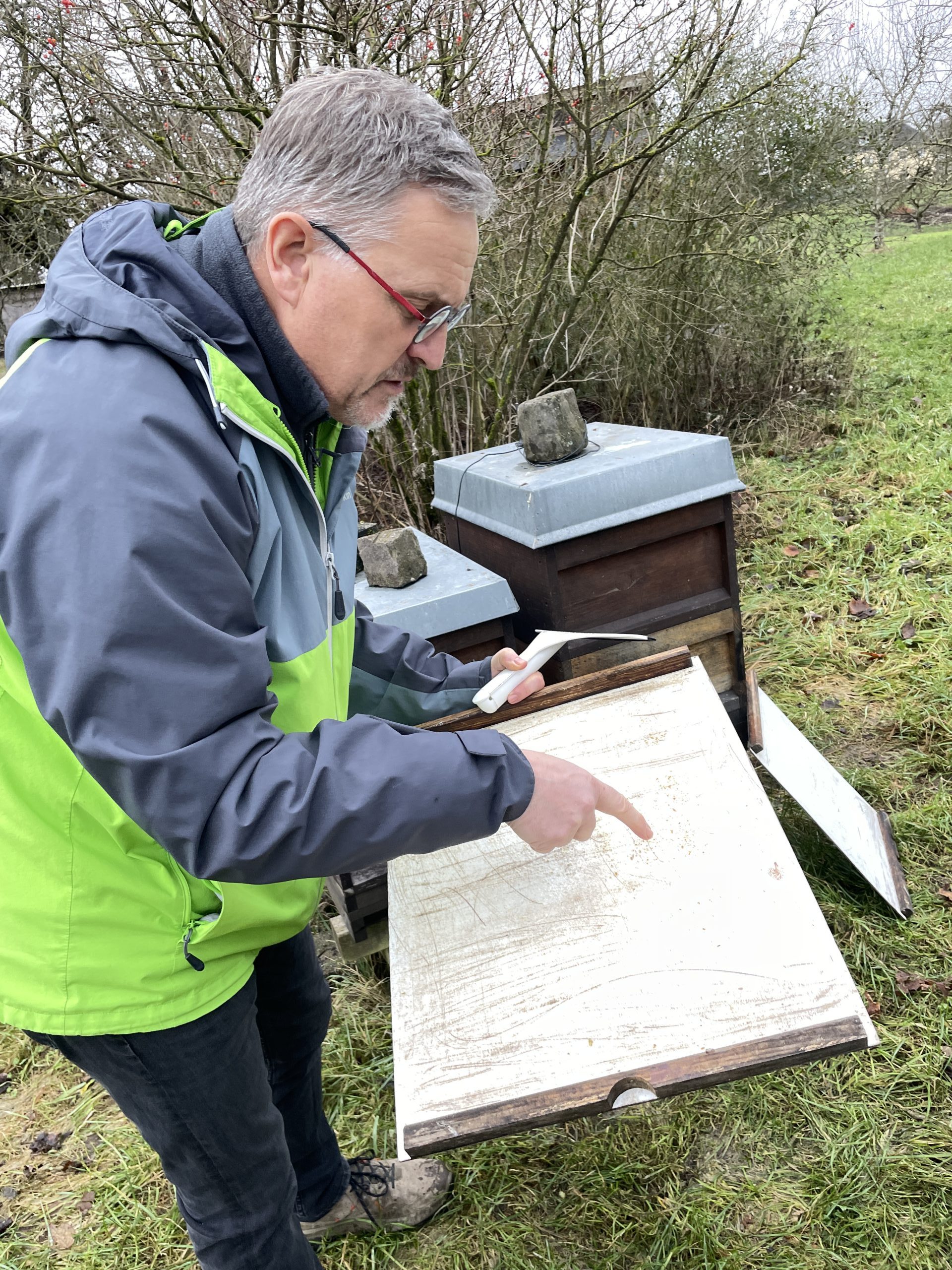 Bernd Holzkamp zeigt den Teilnehmenden, woran man die Aktivität erkennt und wo evtl. Milben sind