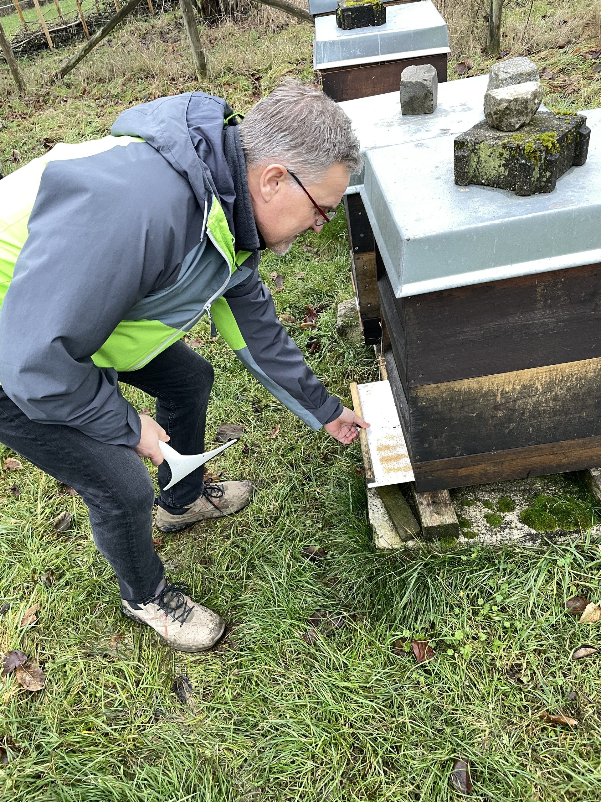 Bernd Holzkampf zieht vorsichtig einen Boden aus dem Bienenkasten