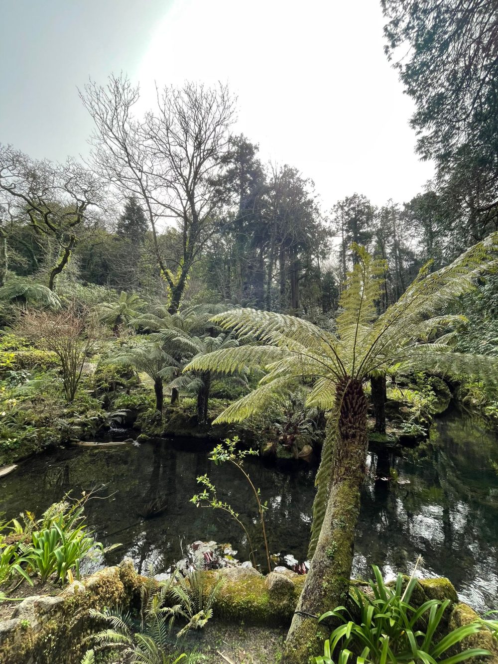 Der Botanische Garten