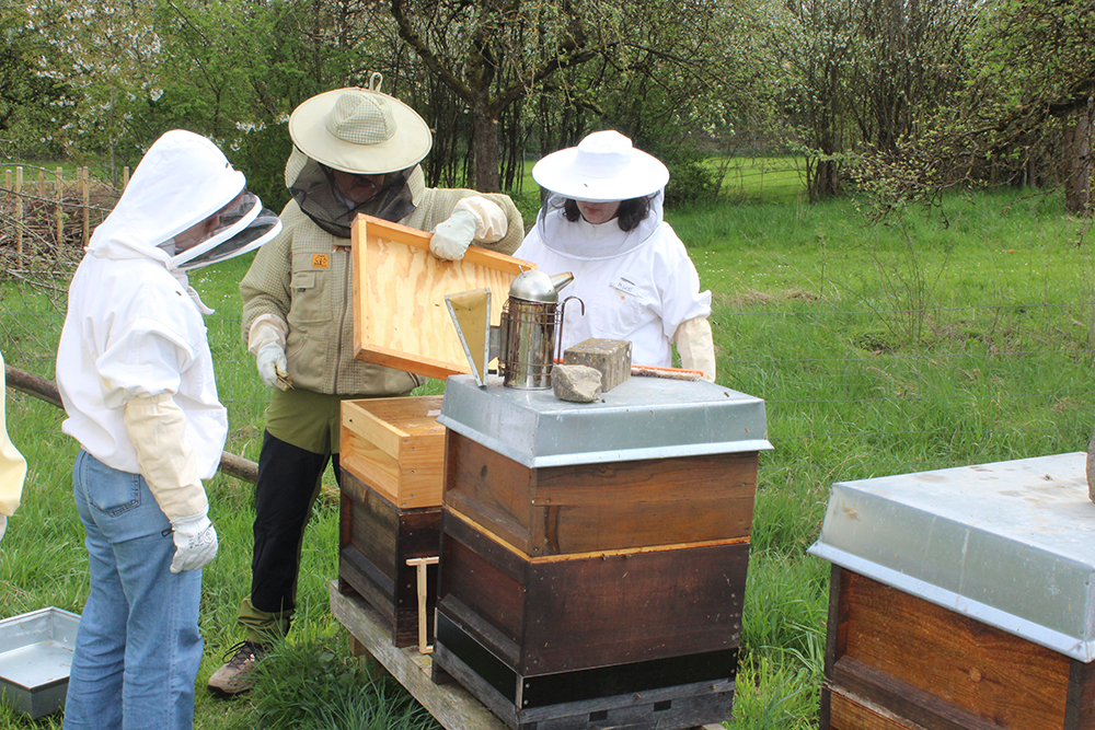 ein Imker öffnet einen Bienenkasten, zwei Teilnehmende schauen zu