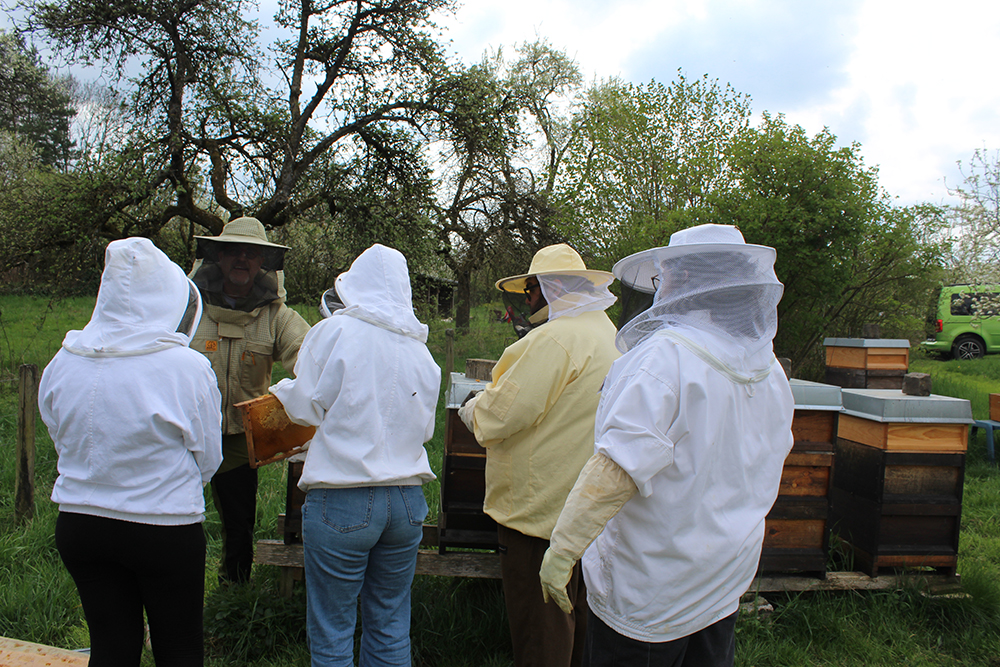 ein Imker erklärt vier Teilnehmenden den Zustand eines Honigraums