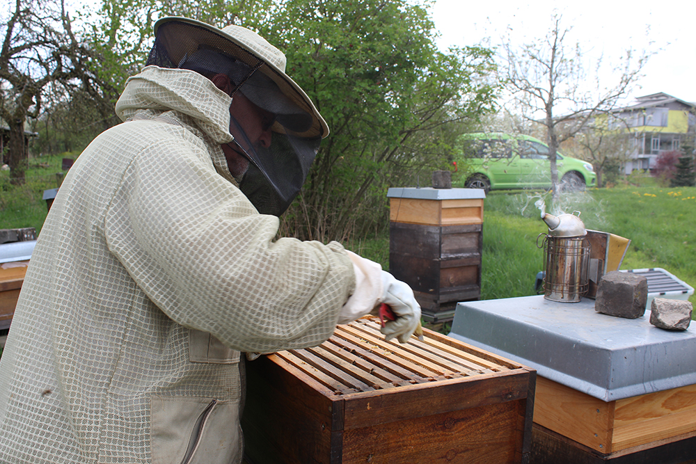 ein Imker öffnet einen Honigkasten