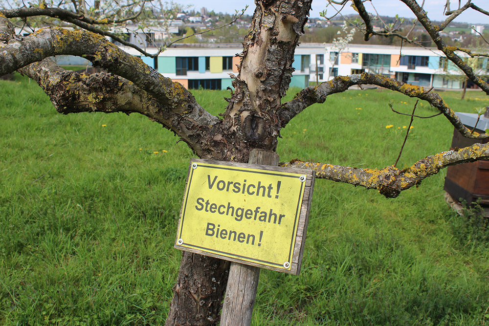 man sieht ein an ein Baum gelehntes, gelbes Schild "Vorsicht! Stechgefahr - Bienen!"