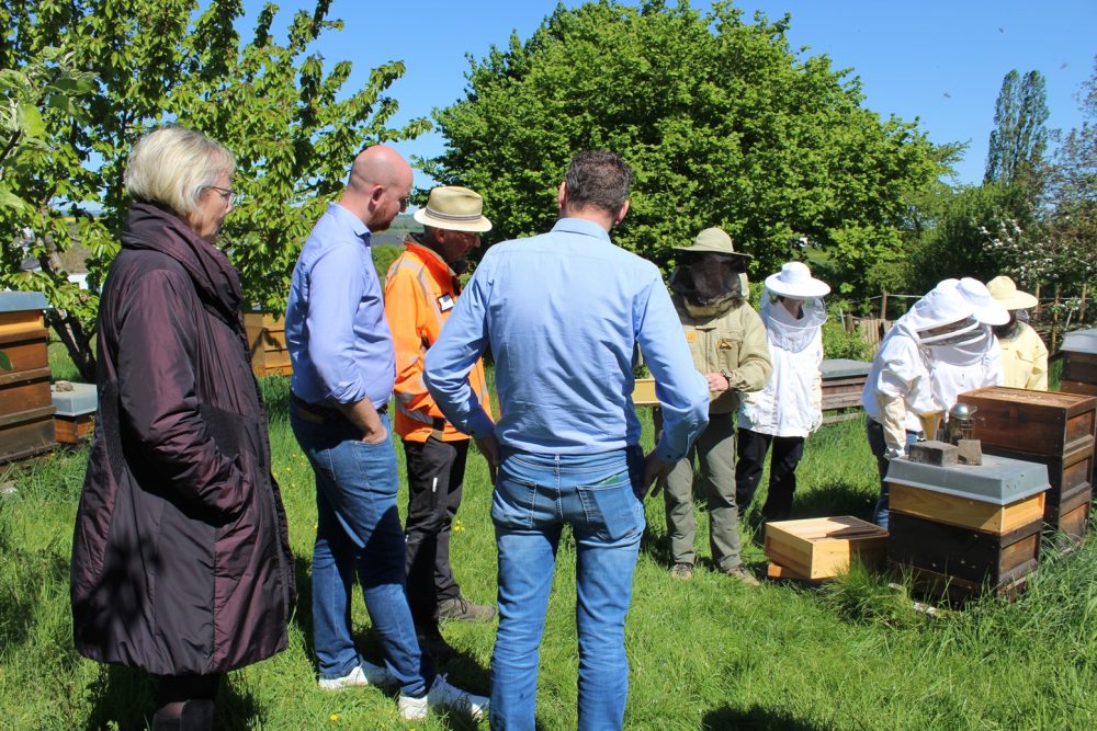 Bernd Holzkamp erklärt den Teilnehmenden die Arbeiten an den Bienenkästen