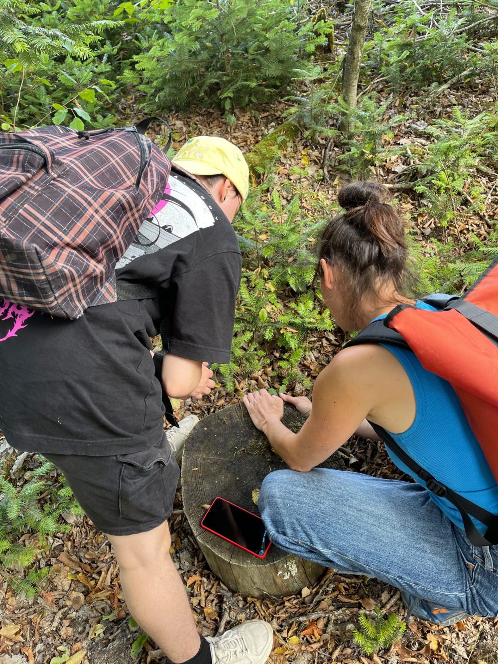 zwei Personen untersuchen etwas auf dem Waldboden