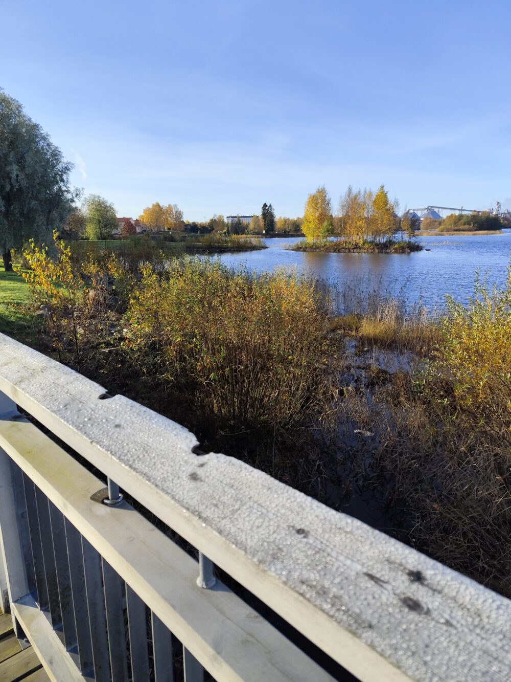 Foto vom Ufer eines Sees