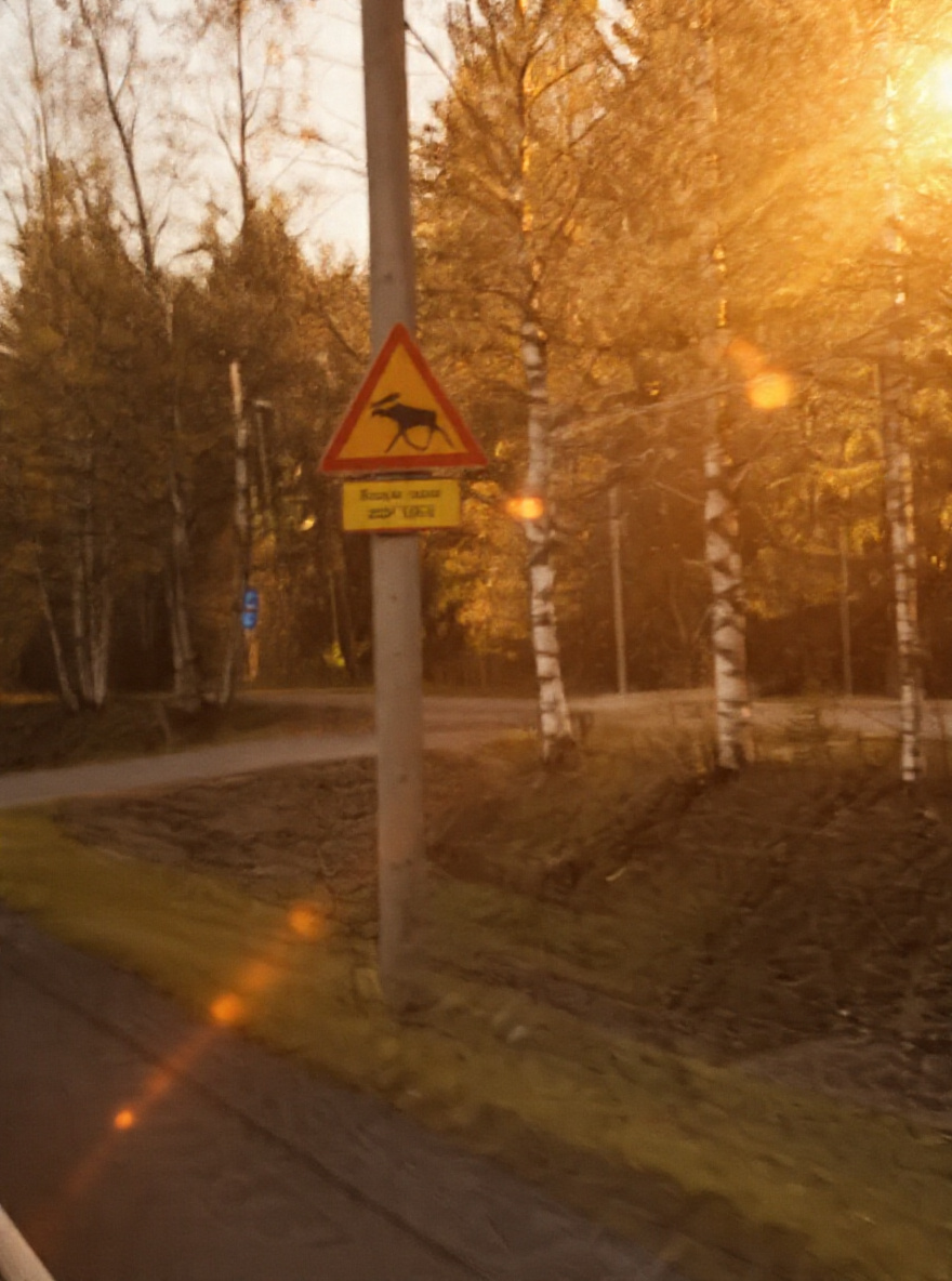 Ein Warnschild vor Rentieren