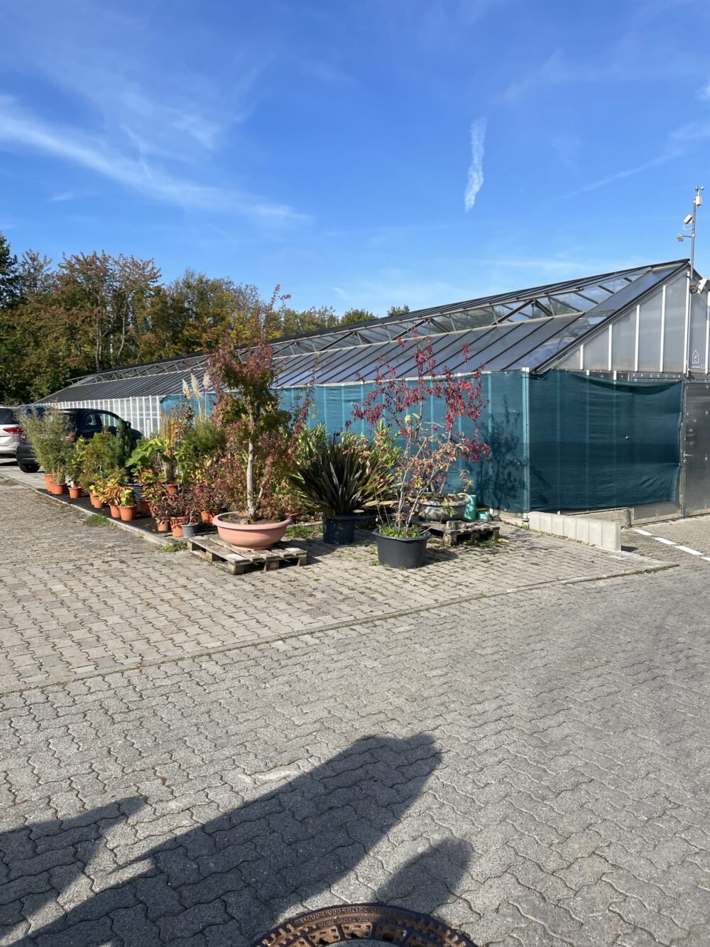 Großes Gewächshaus des BBW Südhessen