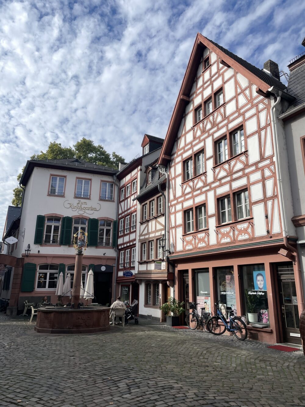 Der Kirschgarten in der Mainzer Altstadt